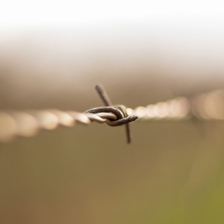 Detailaufnahme von Stacheldraht