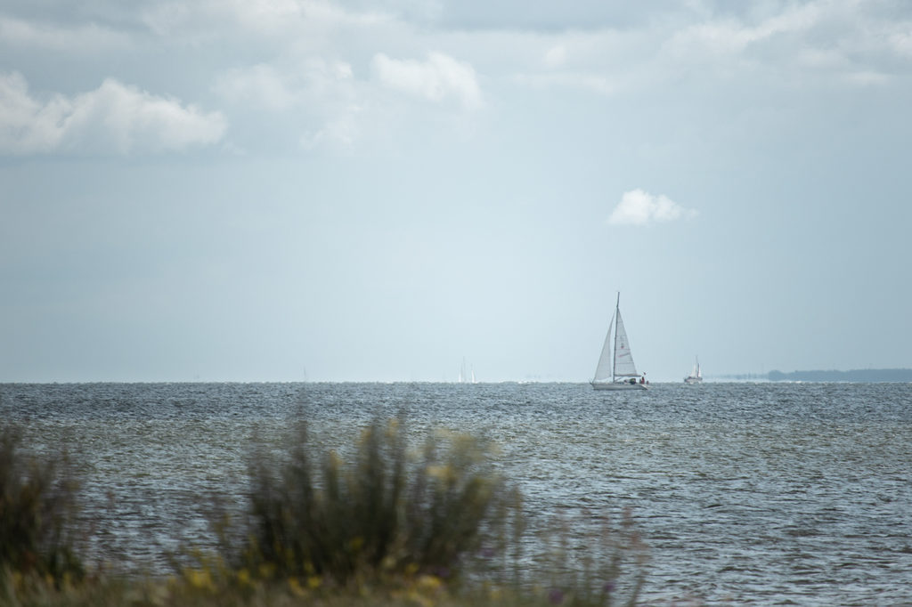 Segelboote auf Greifswalder Bodden mit unscharfen Gräsern im Vordergrund