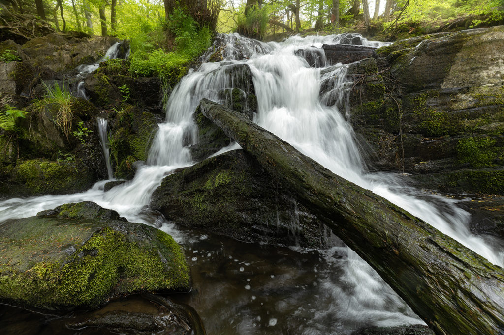 Wasserfall im Harz mit Baumstamm im Vordergrund