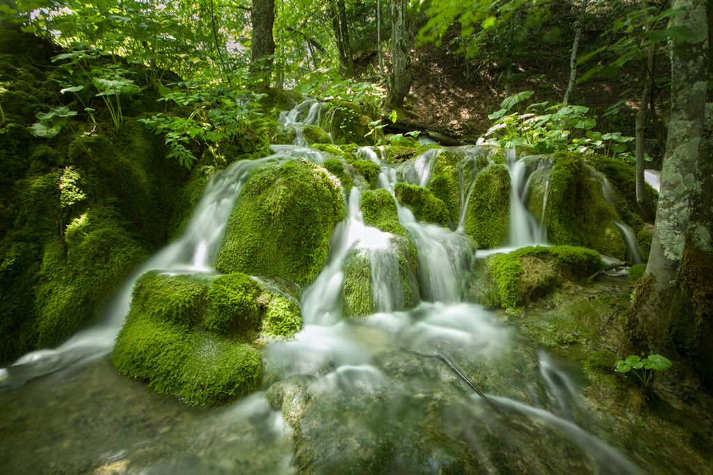 Kleiner Wasserfall eines Baches im Nationalpark Plitvicer Seen in Kroatien zwischen mit Moos bewachsenen Steinen