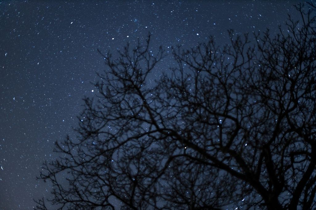 Sternenhimmel hinter dunklen unscharfen Ästen eines Baumes