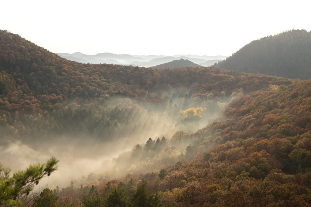 Wolken an Berghang im Pfälzer Wald im Herbst