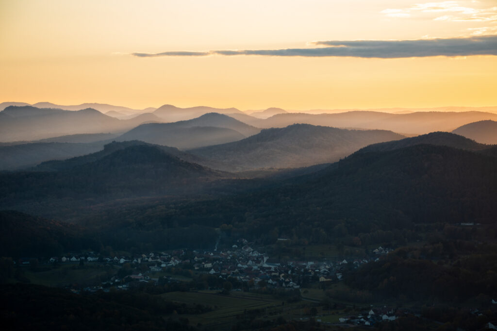 Sonnenstrahlen im Pfälzer Wald bei Sonnenuntergang