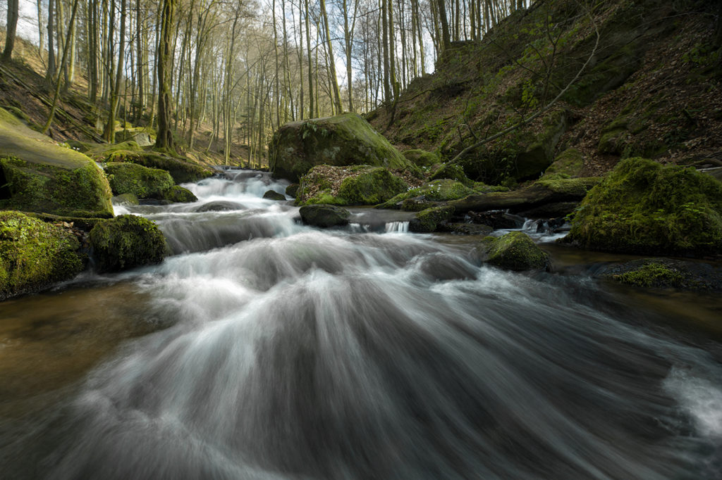 Vordergründige Stromschnellen in der Karlstalschlucht im grünen Pfälzer Wald