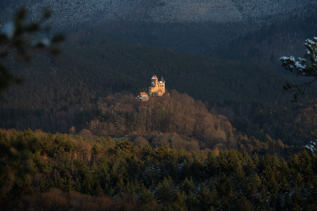 Burg Berwartstein im Pfälzer Wald wird von untergehender Sonne spotartig angestrahlt