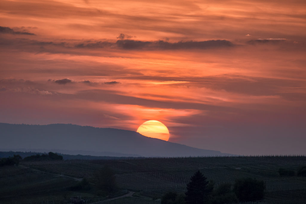 Große untergehende Sonne mit Abendrot über dem Rheingau und beleuchteten Wolken