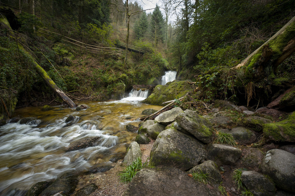 Geroldsauer Wasserfall im grünen Schwarzwald mit Grobbach im Vordergrund und Holzstege im Hintergrund