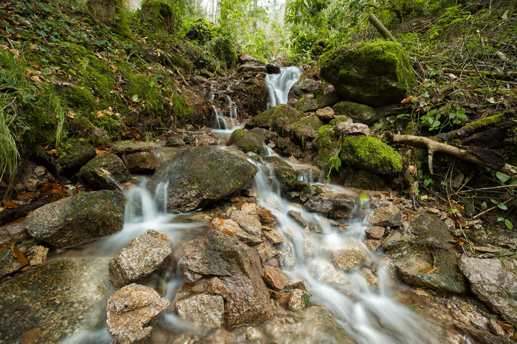 Geroldsauer Wasserfall im Schwarzwald zentral in der Mitte