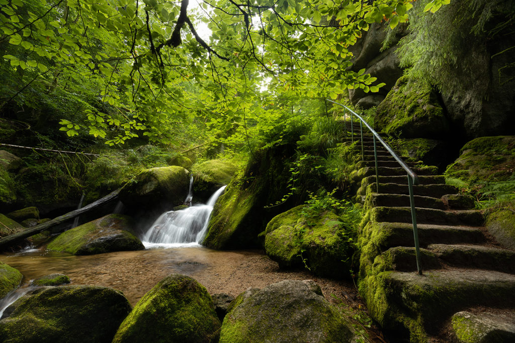 Gertelbach Wasserfälle im Schwarzwald mit Treppe am rechten Bildrand