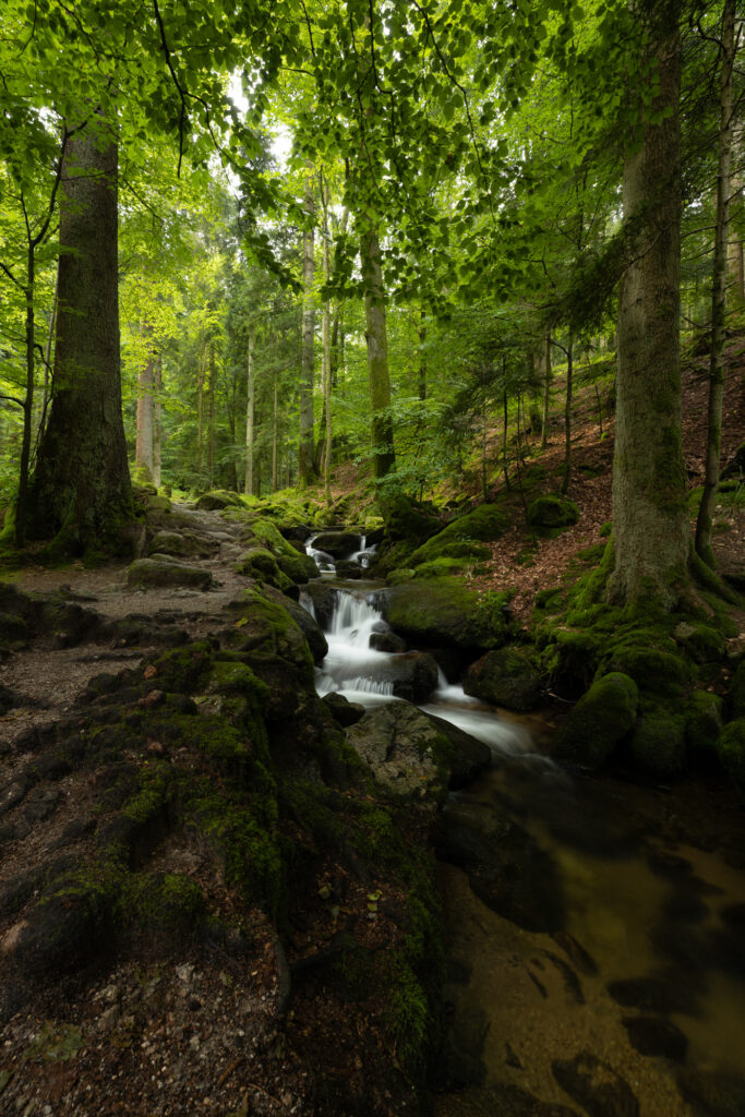 Gertelbachfälle im Schwarzwald im Hochformat