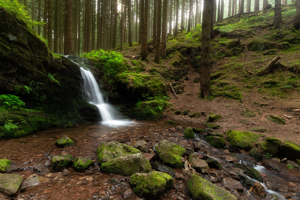 Schilfwasserfall im grünen Thüringer Wald