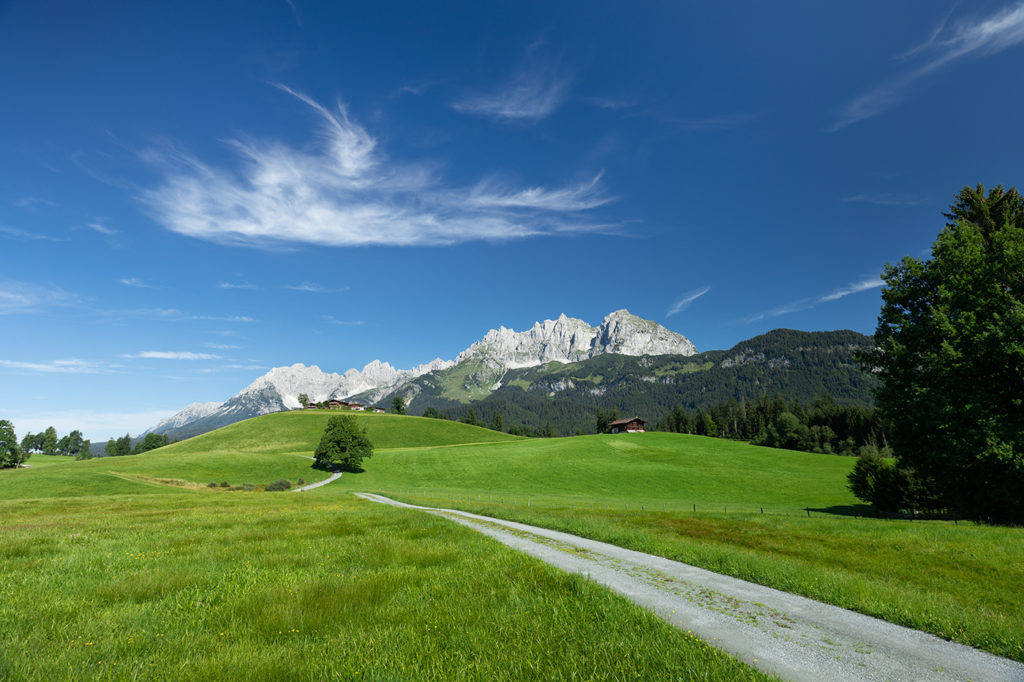 Rückseite des Kaisergebirges mit grüner Wiese mit Bäumen und Weg